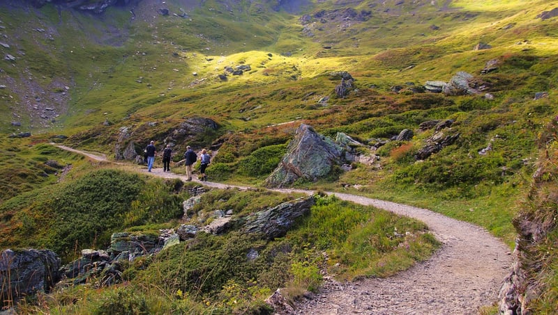 Mindful Walking Tours